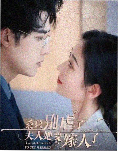 风起南巷剧集海报